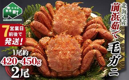 【7営業日前後で発送】北海道 毛ガニ 前浜茹で毛がに 約420g～450g 2尾 かに カニ 蟹 ガニ がに 森町 毛蟹 毛かに 毛がに 毛カニ 毛ガニ mr1-1038