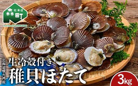 北海道噴火湾産 殻付き稚貝ほたて 3kg（段ボールまたは発泡入り） 海産物 加工品 ほたて 帆立 ホタテ 魚介類 海鮮 森町 ふるさと納税 mr1-0984