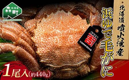 [北海道 噴火湾産] 浜ゆで毛がに 1尾 約430g〜470g [カネキチ澤田水産] かに カニ 蟹 ガニ がに 森町 ふるさと納税 北海道 毛蟹 毛かに 毛ガニ 毛カニ 
