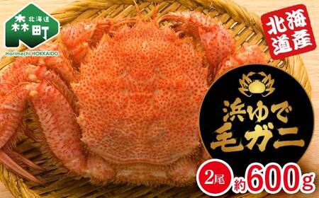[北海道産] 浜ゆで毛ガニ 約600g (2尾入り) 