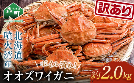 [11月発送][訳あり]オオズワイガニ(ボイル済) 約2.0kg (オスメスどちらか) モリモリ寄附金額 [海鮮問屋 株式会社 瑞宝] ズワイガニ かに カニ 蟹 ガニ がに 海鮮 森町 北海道 