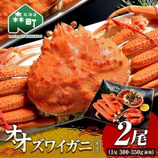 オオズワイガニ オス姿 2尾 300～350g前後×2尾 ＜海鮮問屋　株式会社　瑞宝＞ かに カニ 蟹 ガニ がに 海鮮 森町 北海道 mr1-1301