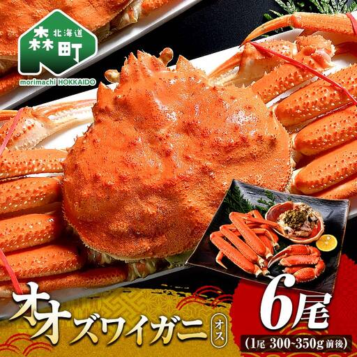 オオズワイガニ オス姿 6尾 300～350g前後×6尾 ＜海鮮問屋　株式会社　瑞宝＞ かに カニ 蟹 ガニ がに 海鮮 森町 北海道 mr1-1369