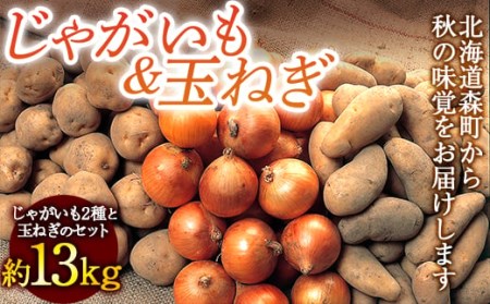 北海道 大地からの贈り物 じゃがいも&玉ねぎ 約13kg 野菜 ジャガイモ じゃがいも メークイン ポテト たまねぎ タマネギ 玉葱 北海道 F4C-0297