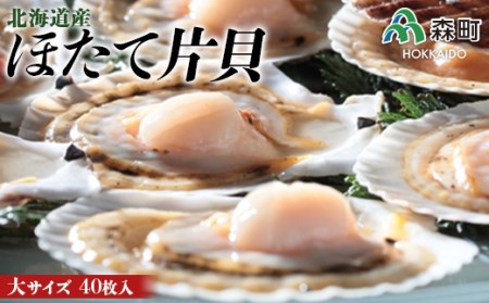 北海道産 ほたて片貝 (40枚入) [ワイエスフーズ] 森町 ほたて 帆立 ホタテ 海産物 魚貝類 ふるさと納税 北海道 