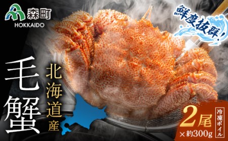 北海道産 ボイル 毛ガニ - その他の魚介類の人気商品・通販・価格比較 