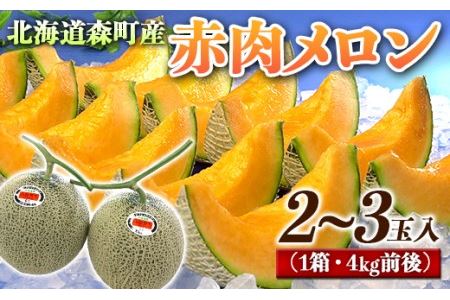 【先行予約】北海道森町産赤肉メロン2～3玉入り（1箱4kg前後）（2025年6月上旬～8月上旬頃順次発送）＜道産ネットミツハシ＞  森町 メロン 果物 赤肉 北海道産 mr1-0814