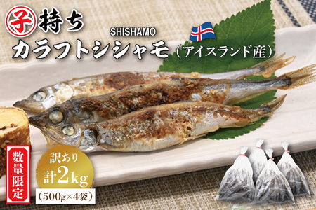 【数量限定！】 子持ち カラフトシシャモ ２kg (500g×4袋) 訳アリ シシャモ ししゃも カラフトししゃも 大洗 規格外 訳あり わけあり 傷 ヤマイシ アイスランド産_AV015