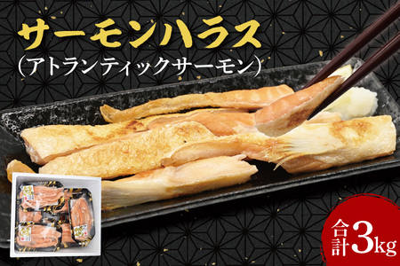 サーモン ハラス 3kg (200ｇ×15p) アトランティックサーモン 鮭 鮭はらす 干物 ひもの 大洗町 焼魚 焼き魚 魚 魚介 海鮮 海産物 冷凍 工場直送 おかず おつまみ_DN007