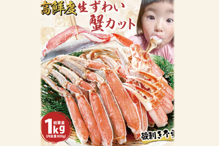 カット済 生本ずわいがに 総重量1kg(内容量800g)[ 数量限定 ][ 生食OK ] [ 工場直送 ] 生ずわいがに ずわい蟹 生冷 生ずわい ず かに かに足 蟹足 かに脚 脚 肩 肩 爪 爪 鍋 鍋 しゃぶ しゃぶ 刺し 刺身 焼き 焼きガニ 魚介 海鮮