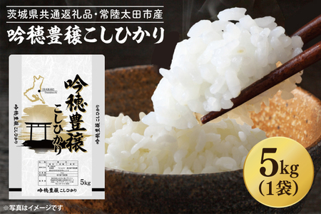 [令和6年産] 新米 吟穂豊穣こしひかり 5kg 精米 特別栽培 (茨城県共通返礼品・常陸太田市産) 新米 コシヒカリ こしひかり 米 ごはん コメ お米 白米 国産 茨城県産