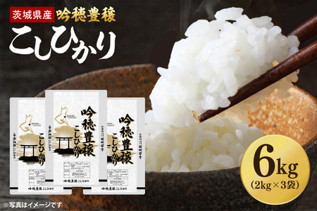 ys\ 2025N9菇z ߘa7NY V LЂ 6kg (2kg×3)  RVqJ Ђ  ͂ R   Y 錧Y_EG009