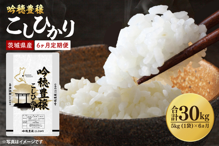ys\ 2025N10菇zy6ցz ߘa7NY V LЂ 5kg ×6   錧Y_EG011