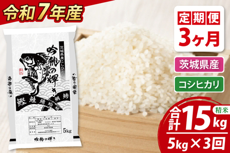 ys\ 2025N10菇z y3ցz ߘaVNY V RVqJ 5kg × 3  Ђ  ͂ R   Y 錧Y_AR011