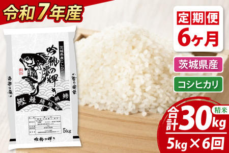 ys\ 2025N10菇z y6ցz ߘaVNY V RVqJ 5kg × 6  Ђ  ͂ R   Y 錧Y_AR012