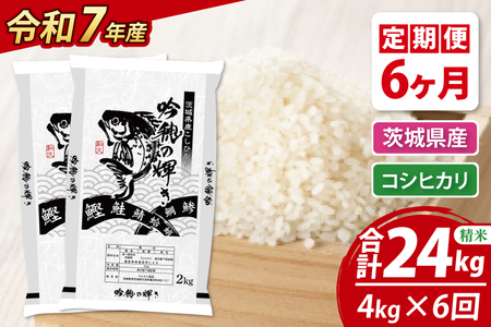 y6ցz ߘaVNY V RVqJ 4kg × 6  Ђ  ͂ R   Y 錧Y_AR019