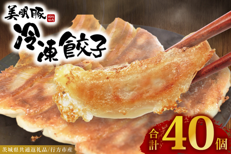 ⓀLq 40i20×2܁j  Lq i錧ʕԗiEssYj_DS013