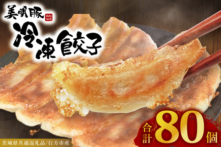 ⓀLq 80i20×4܁j  Lq i錧ʕԗiEssYj_DS014