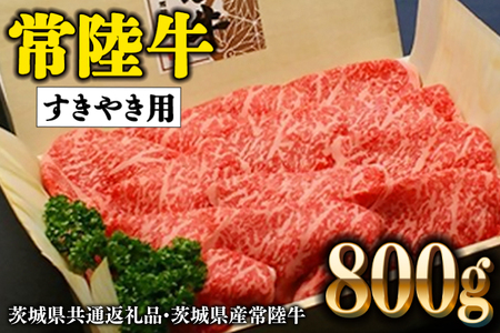 헤 [X 800g Ăp Y uh     ( 錧ʕԗiE錧Y )_BE005