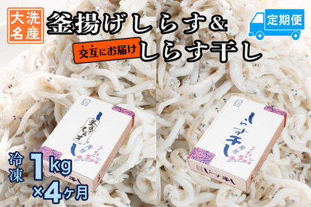 釜揚げしらす しらす干し 交互 定期便 (1kg×4か月) 天然 ふっくら 大洗 名産 しらす シラス 魚 さかな 魚介 離乳食 しらす干し 白洲 ごはん 丼 惣菜 おかず 弁当 国産 大洗町産 冷凍 名産 特産 魚介 海鮮 しらす シラス 白洲 釜揚げしらす 釜揚げシラス 釜揚げ白洲 しらす 小分け _AG063