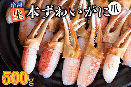 【12月25日決済確定分まで年内発送】生冷 本ずわいがに 爪 500g×1 カジマ ずわい蟹 ズワイガニ ずわいがに かに カニ 蟹 かに爪 カニ爪 蟹爪_AF012