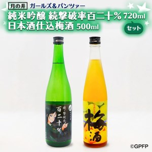 純米吟醸 続撃破率百二十％ 720ml 日本酒 仕込み 梅酒 500ml ガルパン コラボ 2本 セット 国産梅 月の井 大洗 地酒 茨城 ガールズ＆パンツァー_AW047