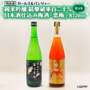 純米吟醸 続撃破率百二十％ 720ml 日本酒 仕込 梅酒 恋梅 720ml 2本 セット ガルパン コラボ 国産梅 月の井 大洗 地酒 茨城 ガールズ＆パンツァー_AW050