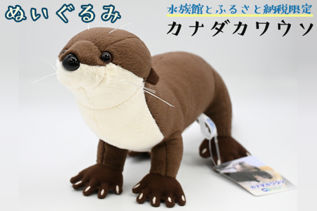 ぬいぐるみ カワウソ アクアワールド 大洗 オリジナル グッズ 茨城 水族館 カナダカワウソ かわうそ 限定_AQ017