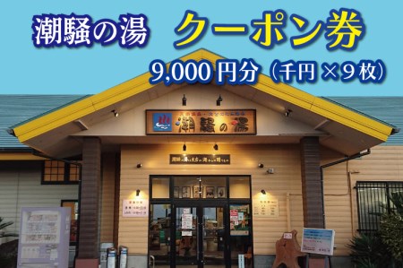 天然温泉 潮騒の湯 クーポン券 9000円分（1000円×9枚） 露店風呂 サウナ おんせん 大洗サンビーチ 海鮮 魚介 食事 宿泊 チケット 利用券 アウトドア 旅行