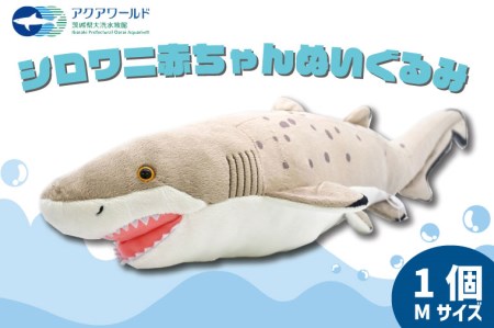 ぬいぐるみ シロワニ アクアワールド 大洗 オリジナル グッズ 茨城 水族館 サメ シロワニ赤ちゃんぬいぐるみ サメ Mサイズ 限定＿AQ030