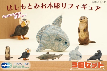 オリジナル フィギュア 木彫り はしもとみお 3個 セット アクアワールド 大洗 水族館 グッズ 彫刻 カワウソ エトピリカ シロワニ マンボウ カリフォルニアアシカ