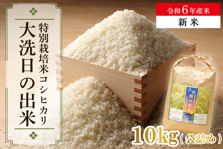 【新米】米 10kg 低農薬米 大洗 日の出米 コシヒカリ 令和6年産 特別栽培米 コメ こめ 送料無料_BS003