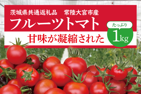 再エネの返礼品 検索結果 | ふるさと納税サイト「ふるなび」