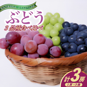 ＜2025年8月より順次発送予定＞ぶどう3品種食べ比べ(県内共通返礼品:かすみがうら市産) (BR074)