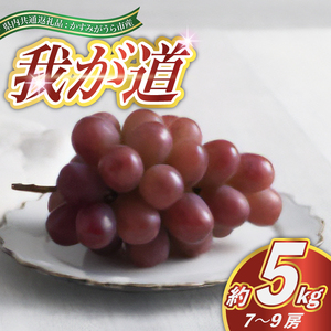 2025N9菇\聄䂪@5L@7`9[(ʕԗi:݂sY) (BR100)