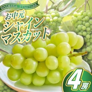 【お中元 熨斗付】 シャインマスカット 4房 ＜2026年8月より順次発送予定＞ (県内共通返礼品:かすみがうら市産) 先行予約 ギフト 贈答 ぶどう ブドウ 葡萄 フルーツ 茨城 新鮮 (BR113)