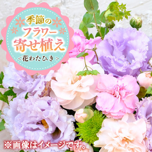 季節の寄せ植え[花わたひき]