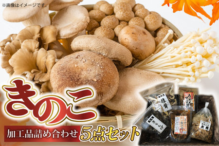 きのこ加工品詰め合わせ5点セット