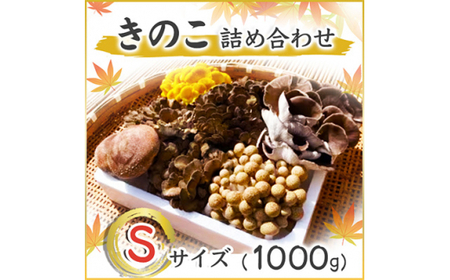 きのこの詰め合わせSサイズ(1000g)