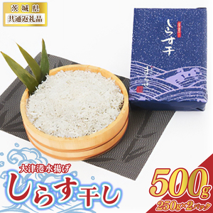 錧ʕԗiÍ`g炷 500g(250g×2pbN)(ks)(BC005)