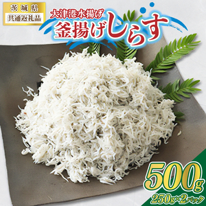 錧ʕԗiÍ`g̊g炷 500g(250g×2pbN)(ks)(BC008)
