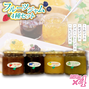 いちご・ゆず・梅・ブルーベリージャム(250g)×各1個