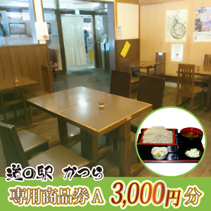 道の駅かつら専用商品券A　3,000円分(500円×6枚のセット) (AF007)