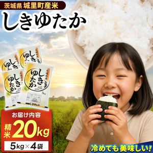 精米 20kg (5kg×4袋) しきゆたか【令和6年産】お米 米 ご飯 城里町 桂農産 シキユタカ【配送不可地域：離島】 (AX004)