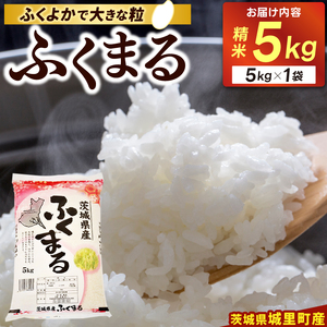 精米 5kg ふくまる お米 米 ご飯【令和6年産】城里町 桂農産 フクマル【配送不可地域：離島】 (AX006)