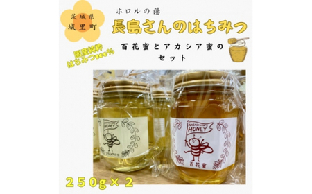長島さんのはちみつ 百花蜜とアカシア蜜 各250g