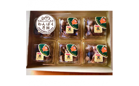 わんぱく農園の黒にんにく