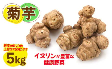 菊芋(きくいも)健康野菜5kg