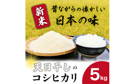 _V s\^  5kg  Ђ yߘa7NYz   RVqJ 5kg R V 錧 闢yzsnFz (BJ019)