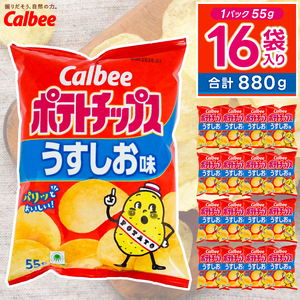 ポテトチップス カルビー 「うすしお味」16袋(55g×16袋)1ケース 総計880g[ポテチ Calbee うすしお うす塩 セット 菓子 ポテト チップス スナック おやつ しお じゃがいも ジャガイモ お取り寄せ まとめ買い 詰め合わせ 詰合せ 人気 送料無料]